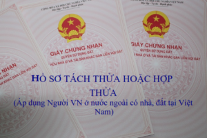 Hồ sơ tách thửa hoặc hợp thửa đất đối với người Việt Nam ở nước ngoài được sở hữu nhà ở gắn liền với quyền sử dụng đất ở Việt Nam